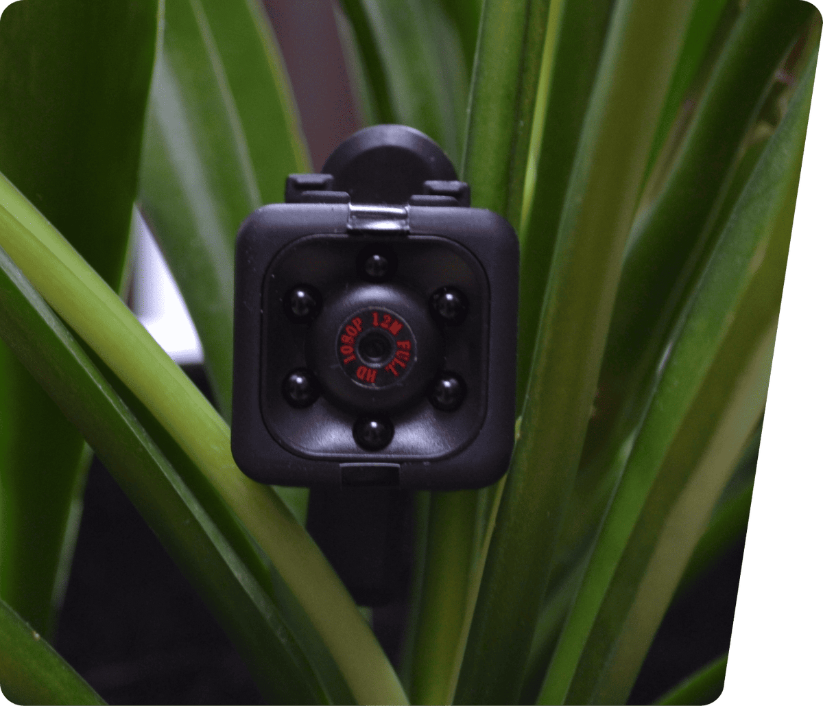 Mini Wifi Camera: what you can do with it